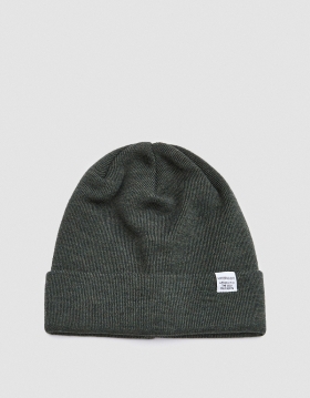 Norse Top Beanie in Lichen