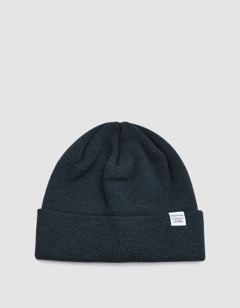 Norse Top Beanie in Moss