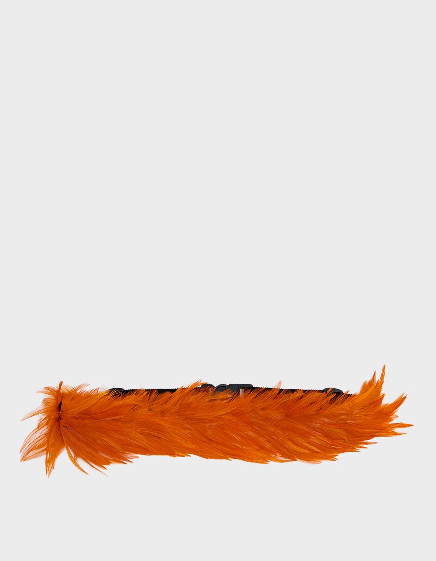 Feather Waist Belt in Orange