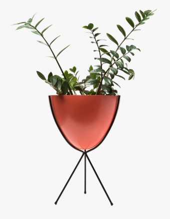 Medium Black Stand - Coral Bowl