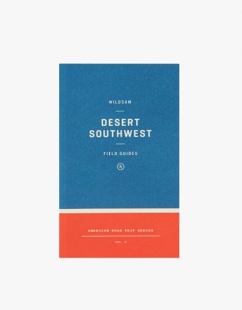 Desert Southwest Road Trip Guide
