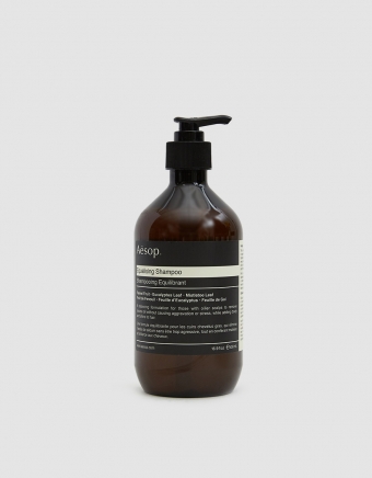 Equalizing Shampoo