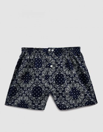 Bandana Print Boxer in Navy