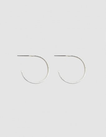 Carolyn Metal Hoop Earrings