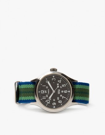 Scout Brook in Steel